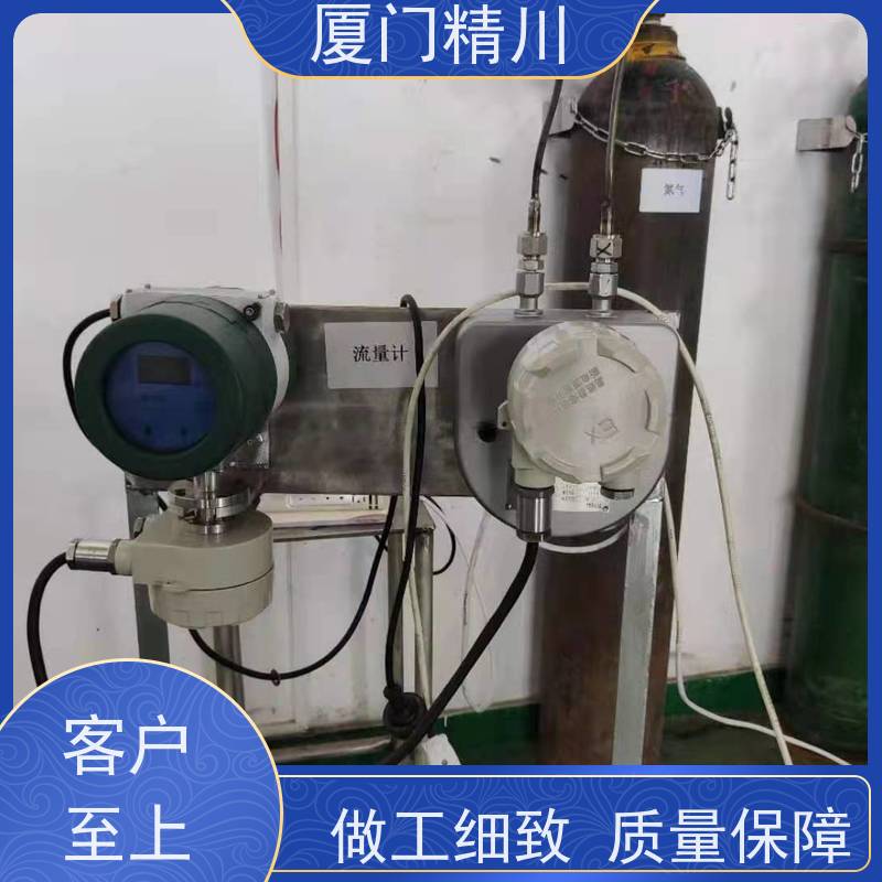 精川股份 食品厂小口径质量流量计 连接方式支持定制 更放心