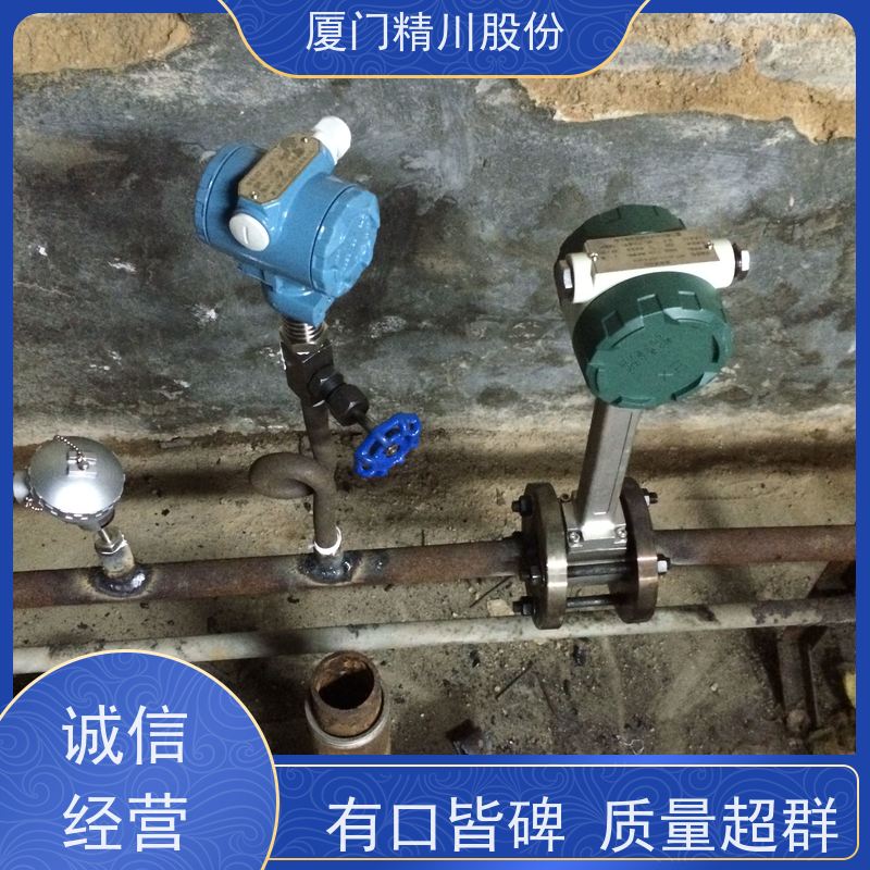 精川股份 食品厂 压缩空气流量计 分体式温压补偿 源头生产厂家