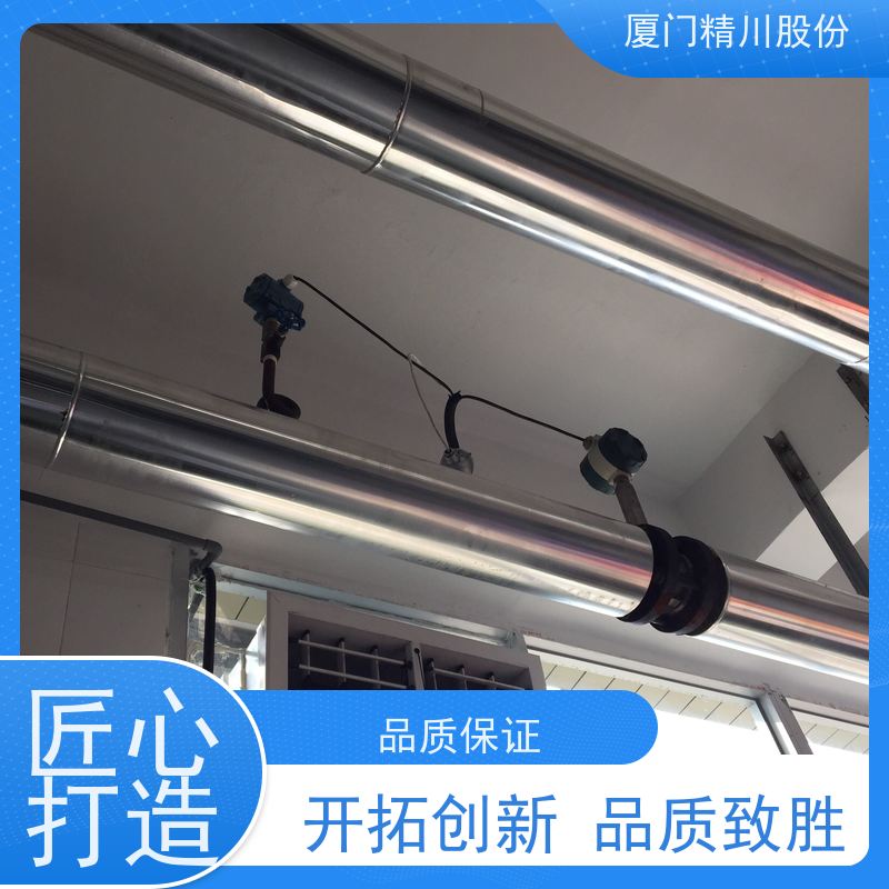 精川股份 皮革厂 锅炉蒸汽流量计 一体式温压补偿 服务量少
