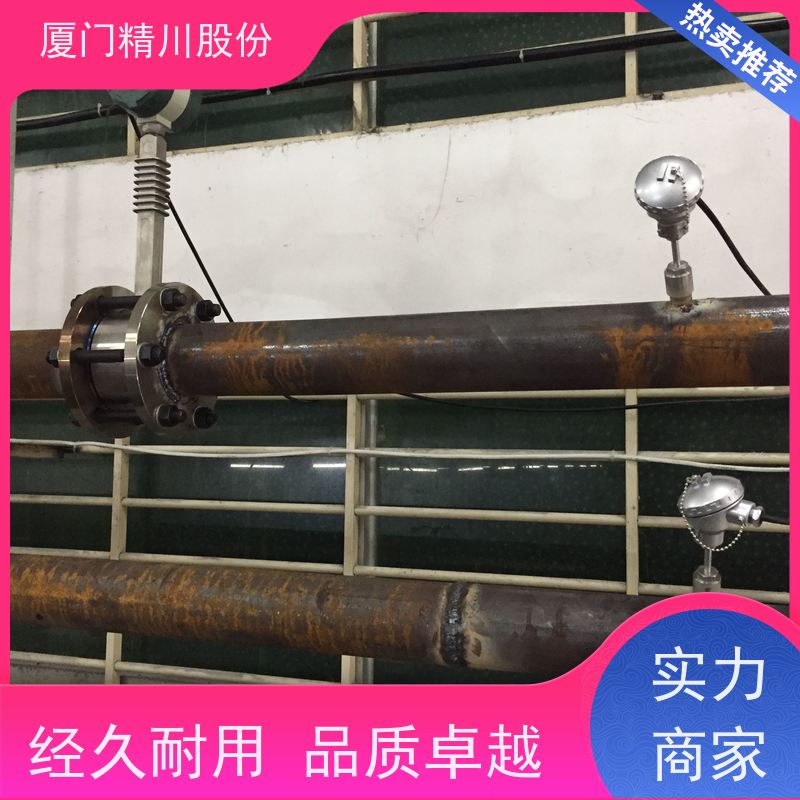 精川股份 染整厂 导热油炉流量计 精度高 经久耐用