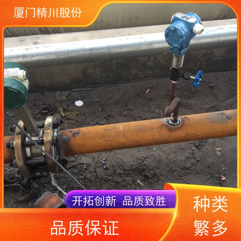 精川股份 饲料厂 过热蒸汽流量计 测量精度高 应用广泛