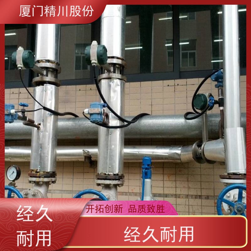 精川股份 人造革厂 过热蒸汽流量计 抗震性能好 应用广泛