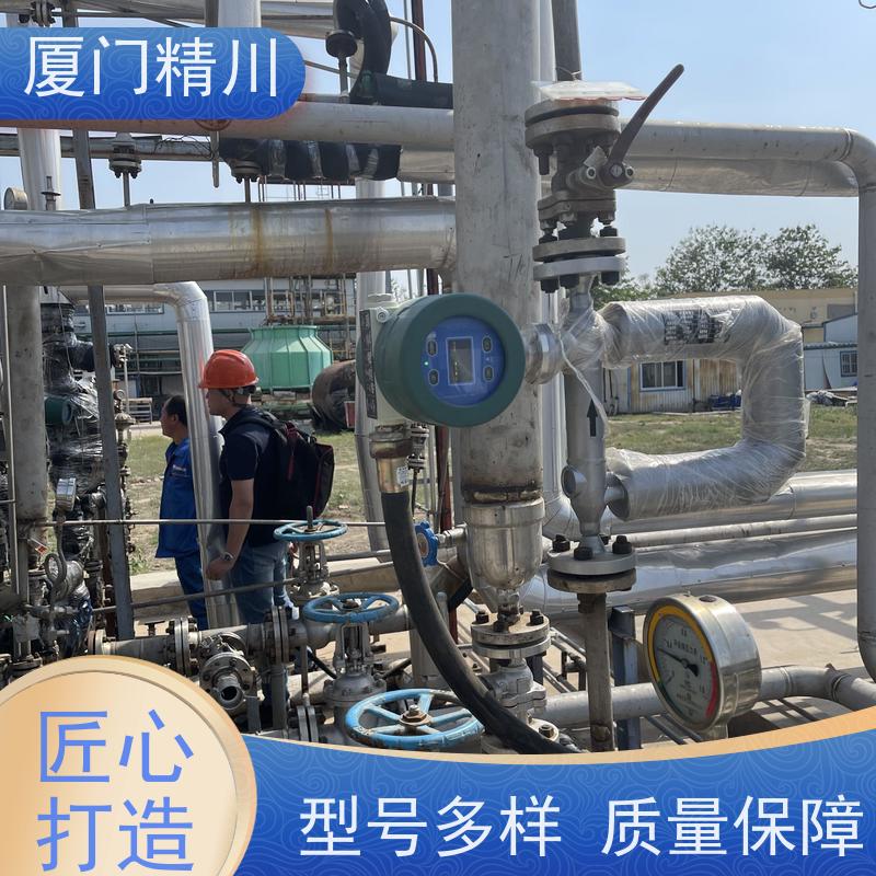 精川 半导体质量流量计 连接方式支持定制 更耐用