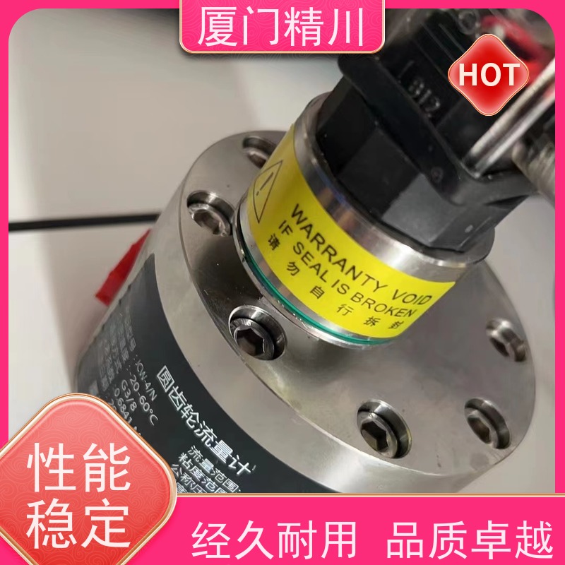 精川股份 加药控制 不锈钢齿轮流量计 安装无需前后直管段 保证品质
