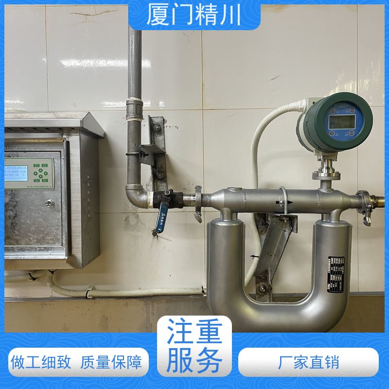 精川 大学实验室DN1质量流量计 连接方式支持定制 更放心