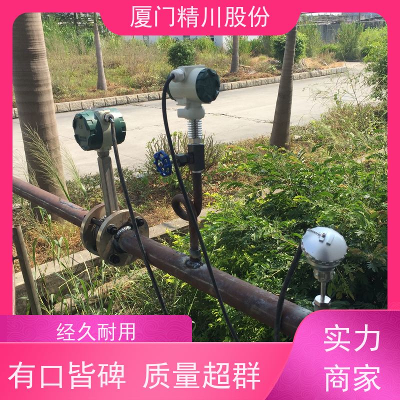 精川股份 造纸厂 蒸汽流量计 抗震性能好 服务量少