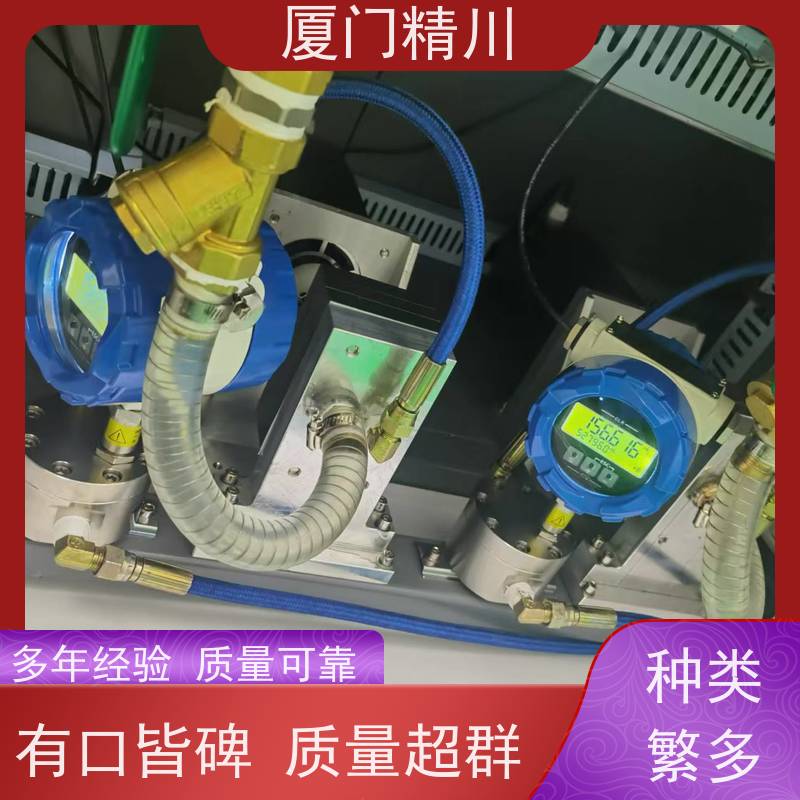 精川股份 AB胶 防腐型齿轮流量计 可测液体1L/H 坚守品质