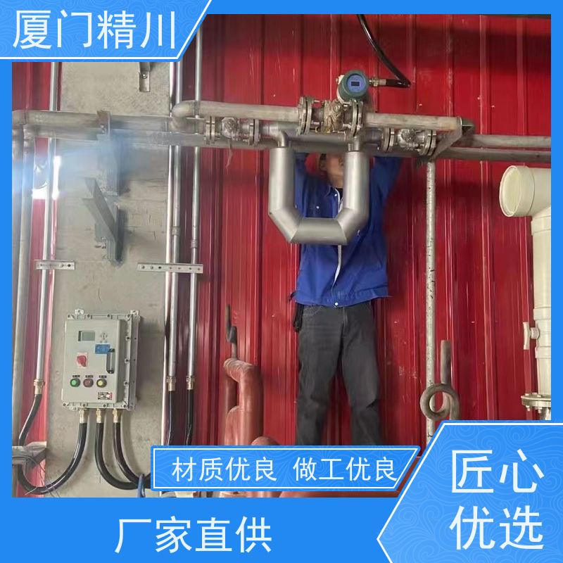 精川 制药设备气体质量流量计 连接方式支持定制 更耐用