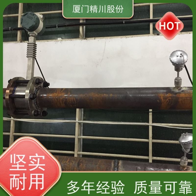 精川股份 橡胶厂 导热油炉流量计 出厂都会设置好 安装简单