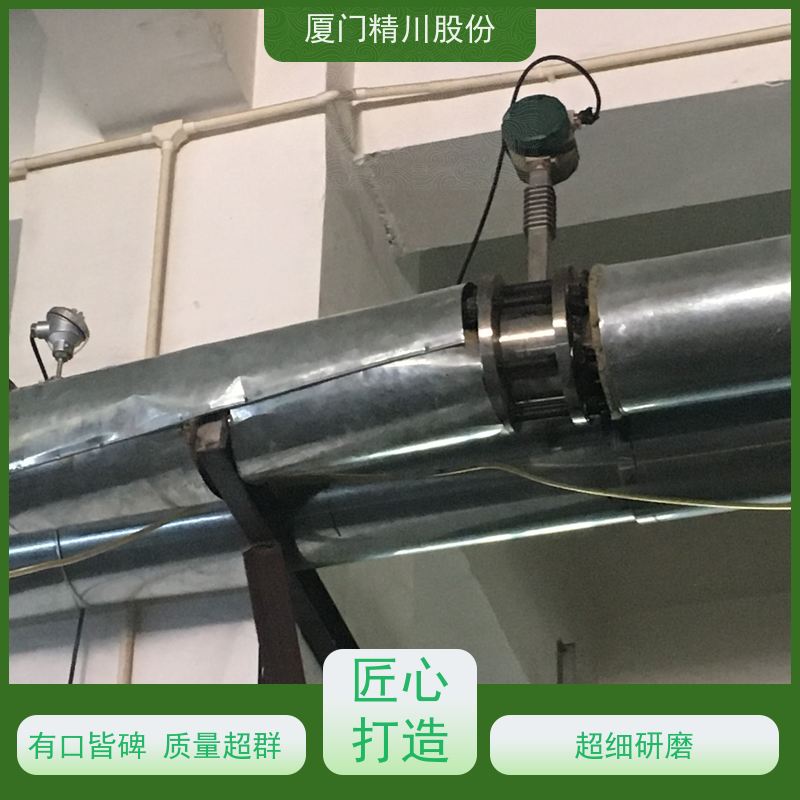 精川股份 纺织厂 导热油炉流量计 精度高 带接线说明