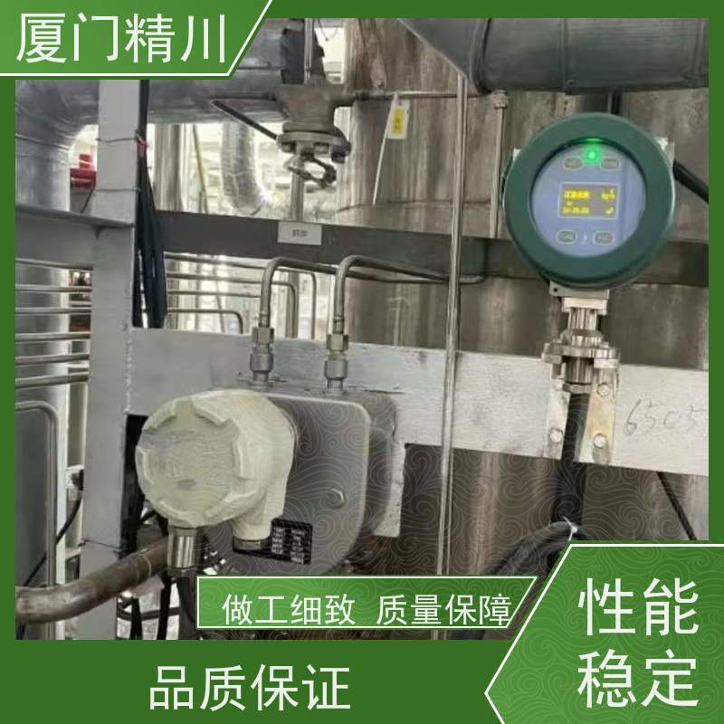 精川 高校气体质量流量计 连接方式支持定制 省心