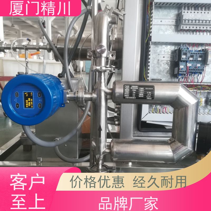 精川股份 食品厂小口径质量流量计 支持定制 有保障