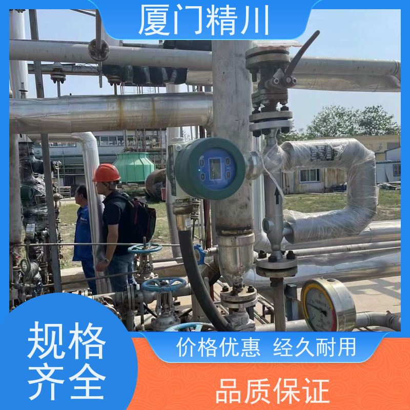精川股份 制药设备液体质量流量计 连接方式支持定制 更放心