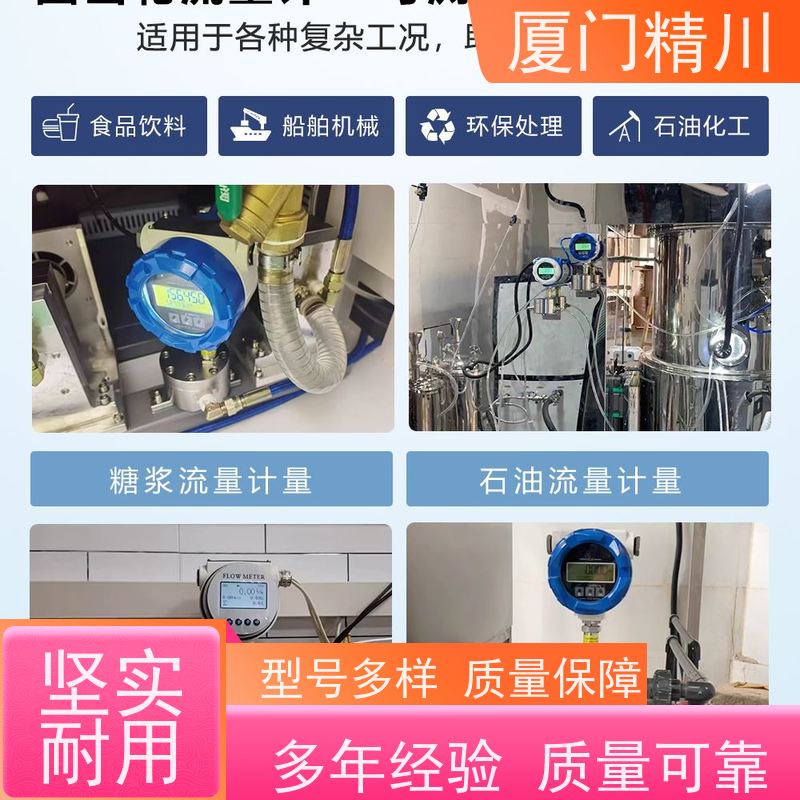 精川 AB胶 微小型圆齿轮流量计 体积小 只为您好用