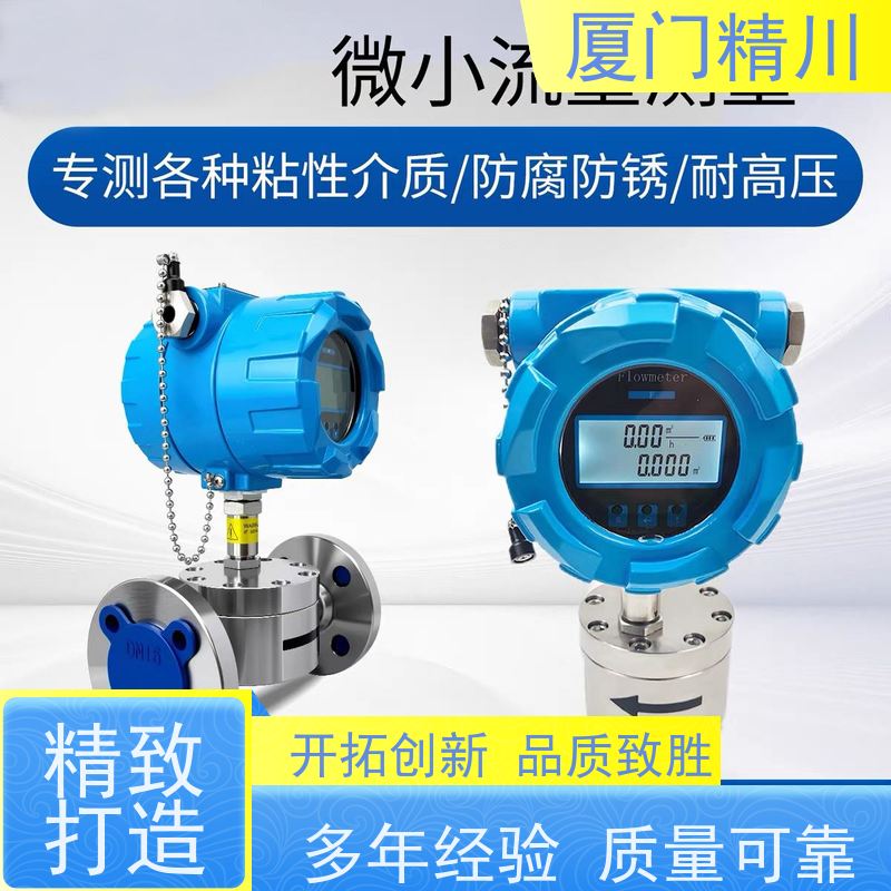 精川 制药设备 PEEK材质圆齿轮流量计 每台实标合格出厂 保证品质