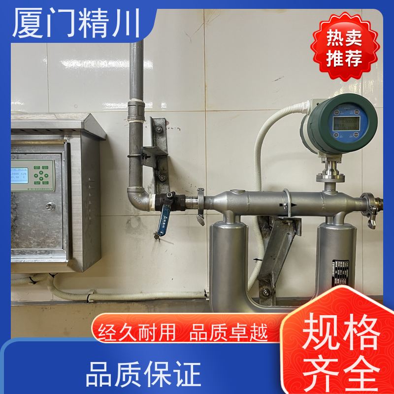 精川股份 制药厂DN1质量流量计 支持定制 更放心