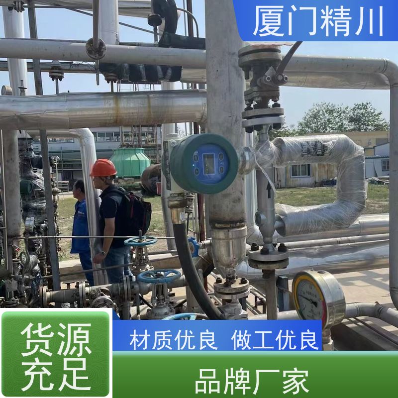 精川 锂电行业DN1质量流量计 接液316L材质 更耐用