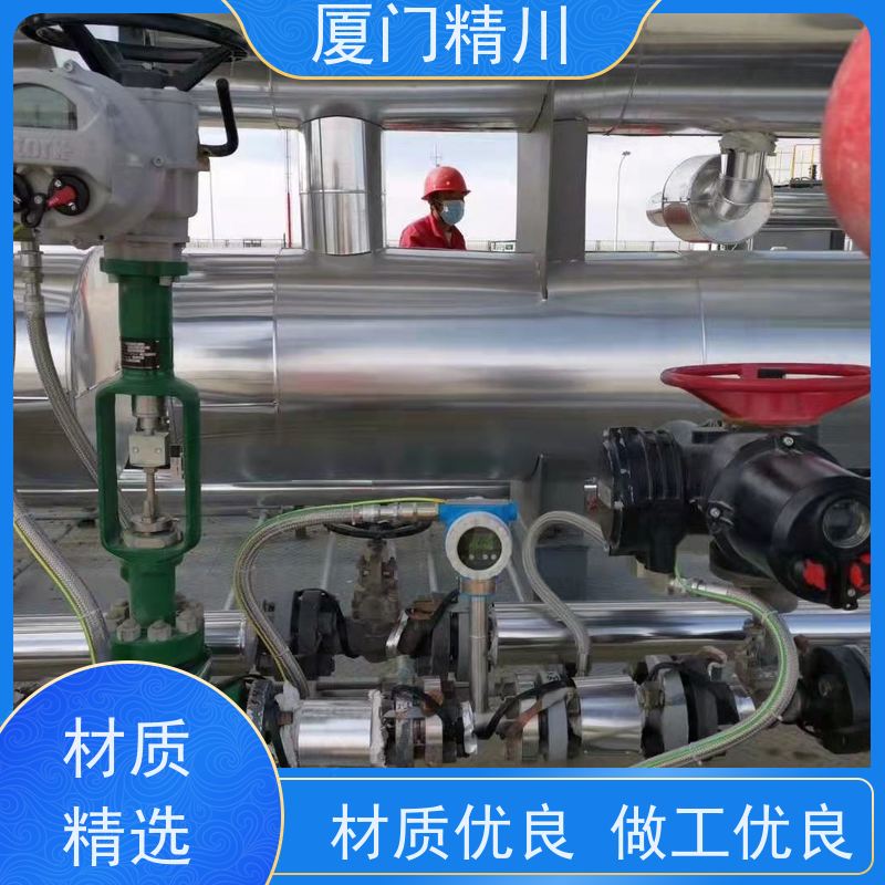 精川股份 猪油 管道式靶式流量计 可测含杂质介质 支持定制