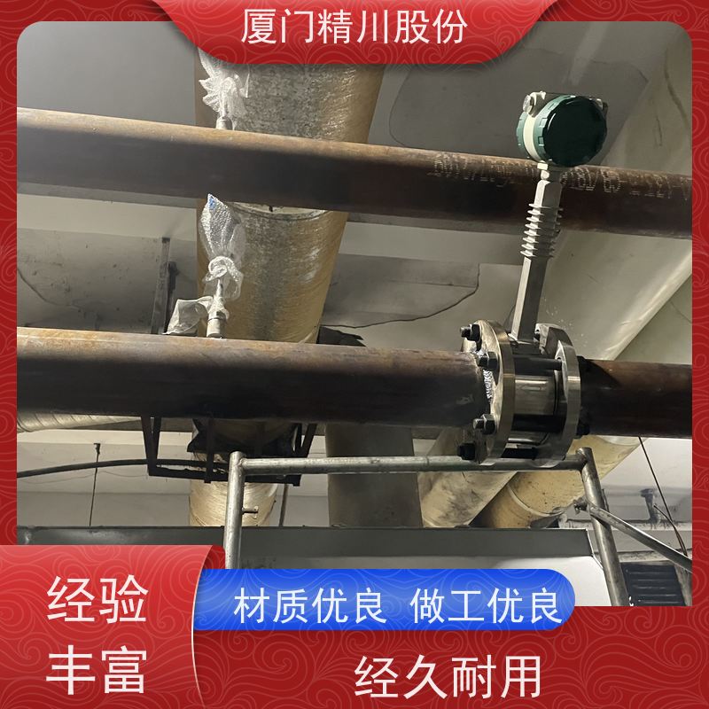 精川股份 皮革厂 导热油炉流量计 自动计算能量 免费选型