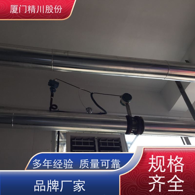 精川股份 包装厂 导热油涡街流量计 抗震性能好 源头生产厂家