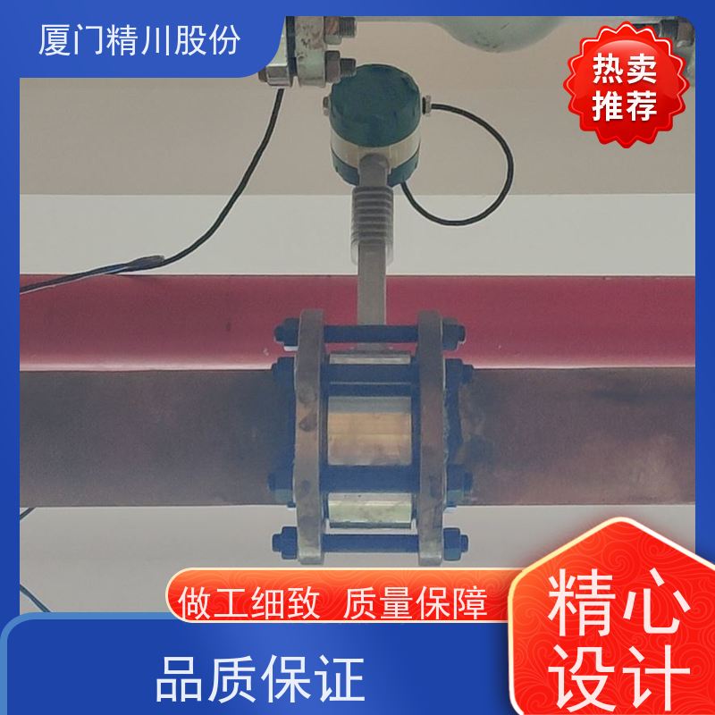 精川股份 鞋材厂 导热油炉流量计 耐高温400度 单位可选