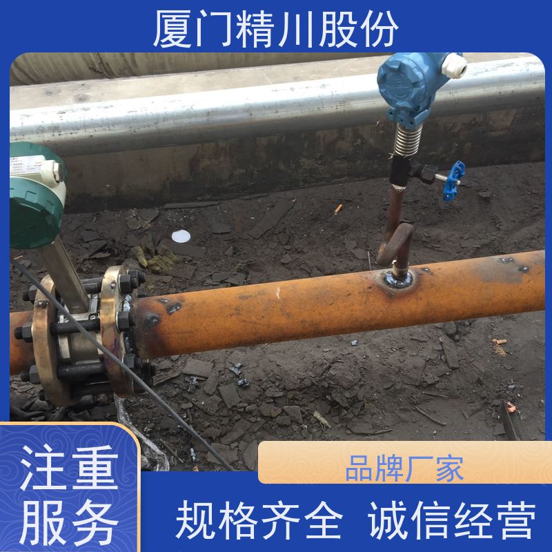 精川股份 电镀厂 涡街蒸汽流量计 抗震性能好 应用广泛