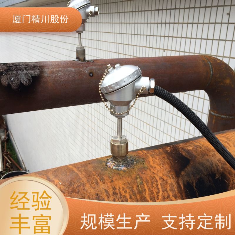 精川股份 制革厂 导热油炉流量计 耐高温400度 安装简单