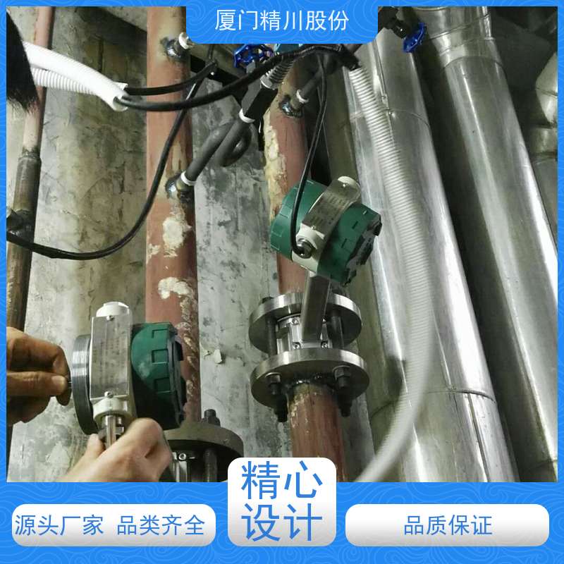 精川股份 食品厂 涡街流量计 工作时间长 支持免费选型