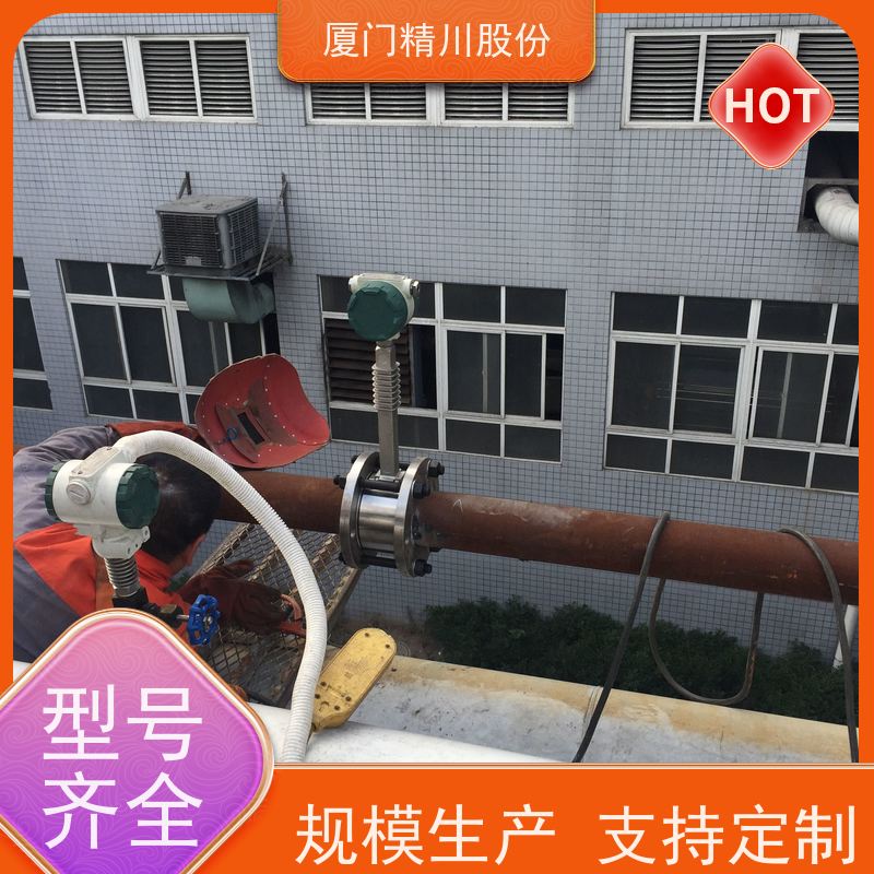 精川股份 PU皮革厂 过热蒸汽流量计 一体式温压补偿 服务量少