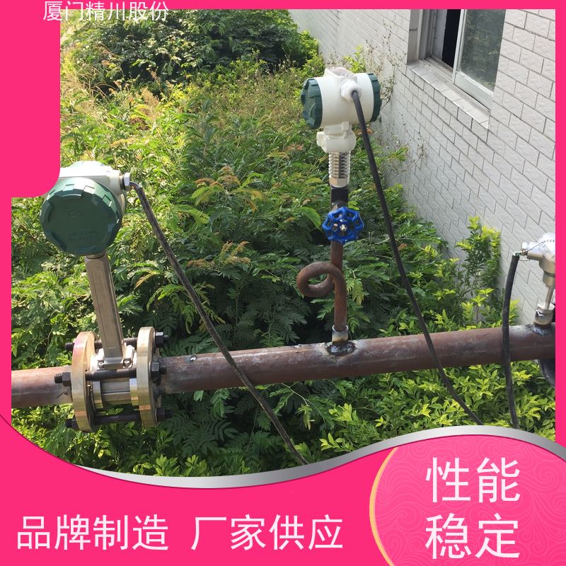 精川股份 制革厂 液体涡街流量计 抗震性能好 真实应用案例多
