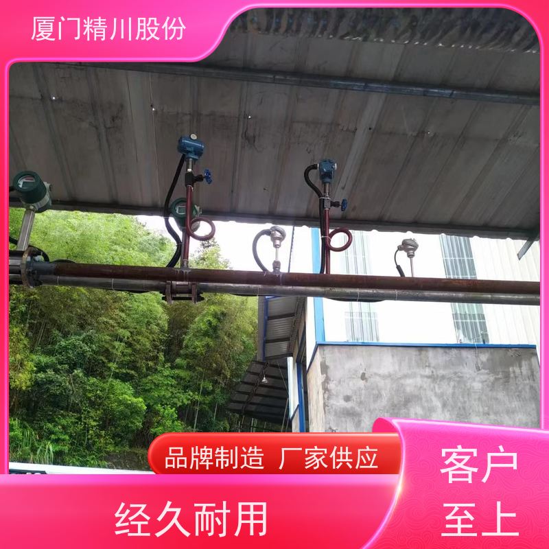 精川股份 PU皮革厂 锅炉蒸汽流量计 一体式温压补偿 真实应用案例多