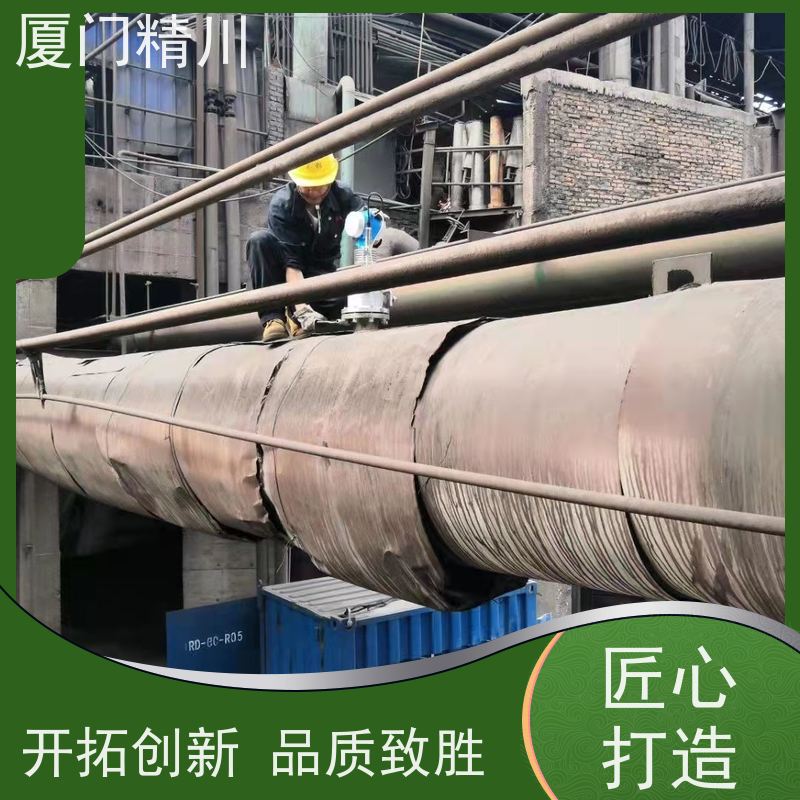 精川股份 牙膏 管道式靶式流量计 专测高粘度介质 免费选型