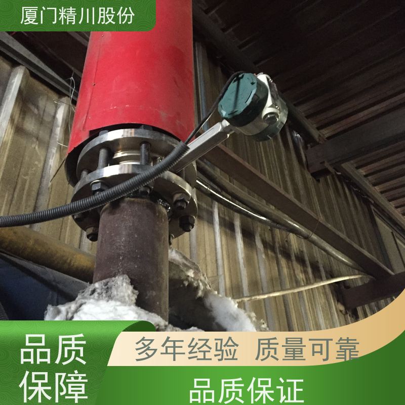精川股份 PU皮革厂 蒸汽涡街流量计 一体式温压补偿 应用广泛