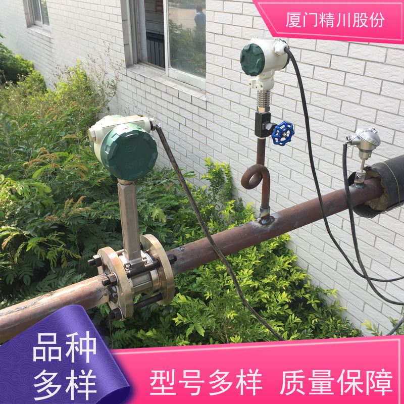 精川股份 织造厂 涡街蒸汽流量计 可耐温350度 支持免费选型