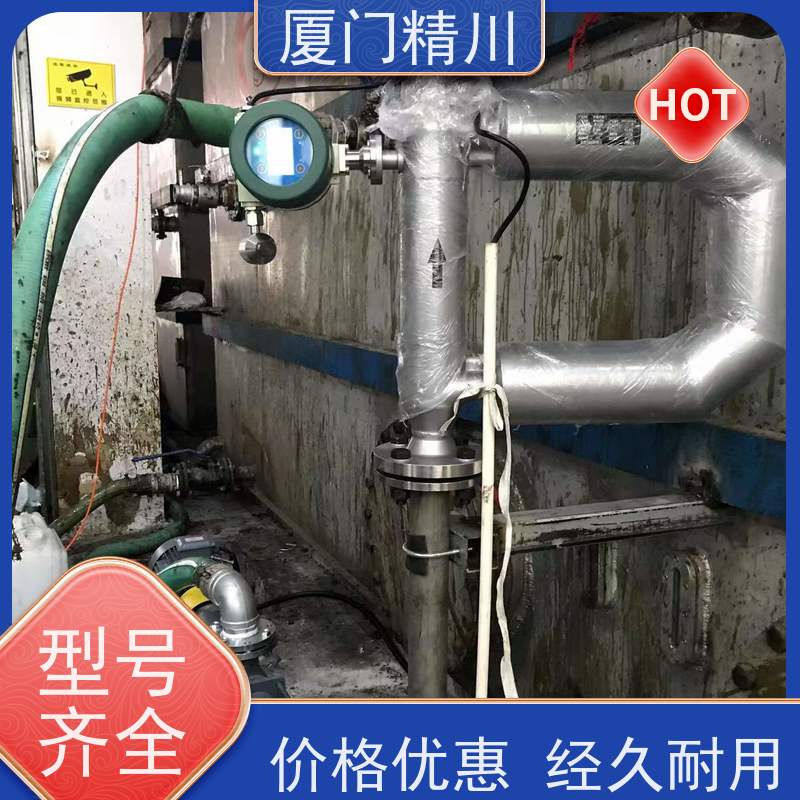 精川股份 高校质量流量计 连接方式支持定制 省心