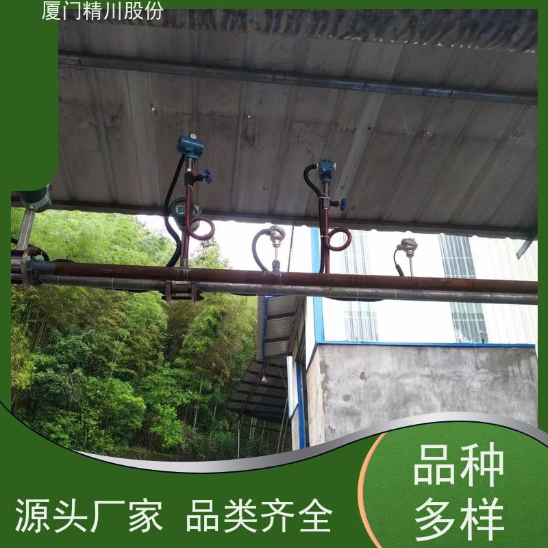 精川股份 PU皮革厂 蒸汽流量计 可耐温350度 服务量少