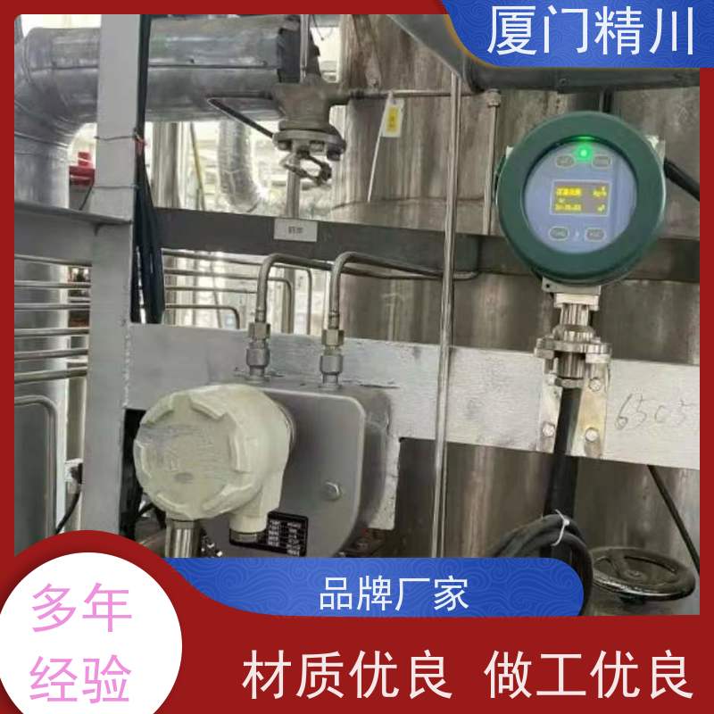 精川 制药厂科里奥利质量流量计 支持定制 更放心