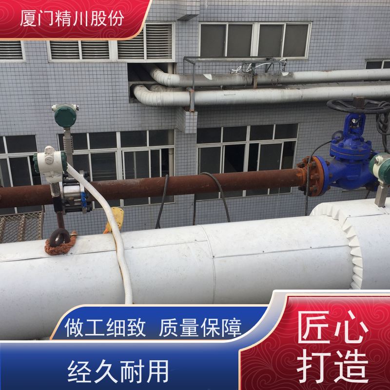 精川股份 电镀厂 锅炉蒸汽流量计 工作时间长 支持免费选型