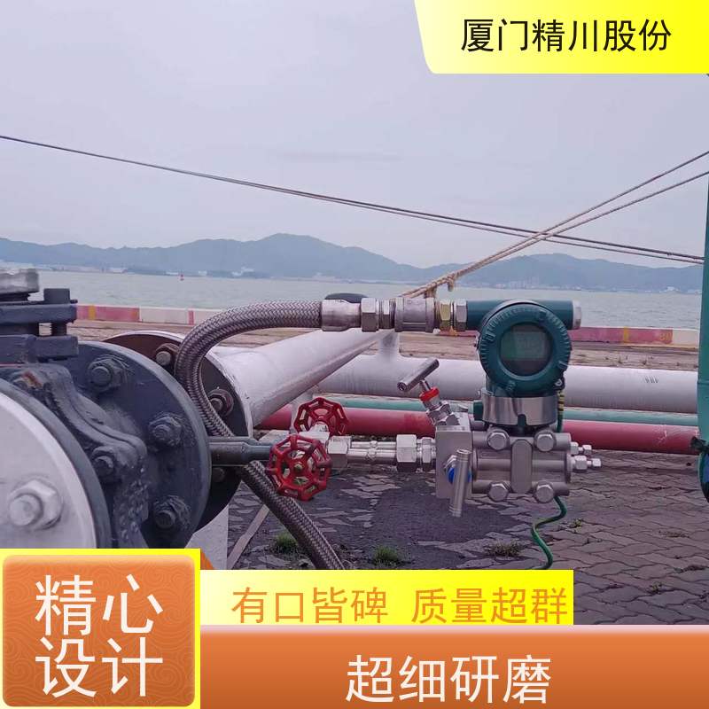 精川股份 橡胶厂 导热油流量计 耐高温400度 应用广泛