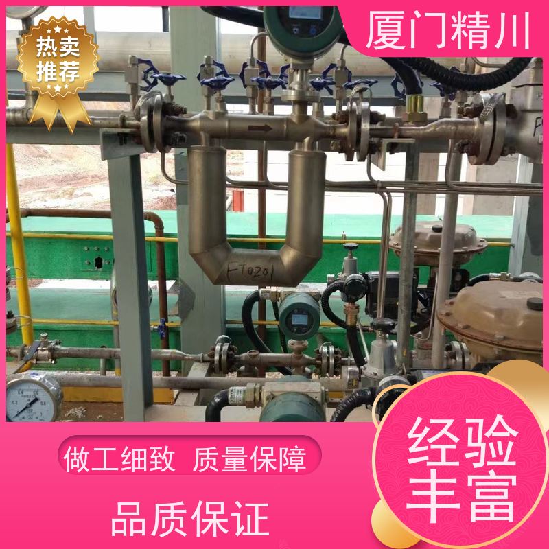 精川股份 半导体科里奥利质量流量计 接液316L材质 有保障