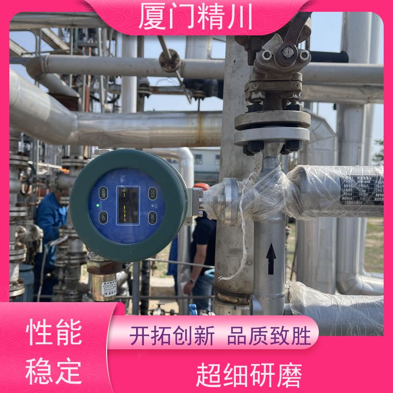精川股份 制药设备DN1质量流量计 支持定制 省心
