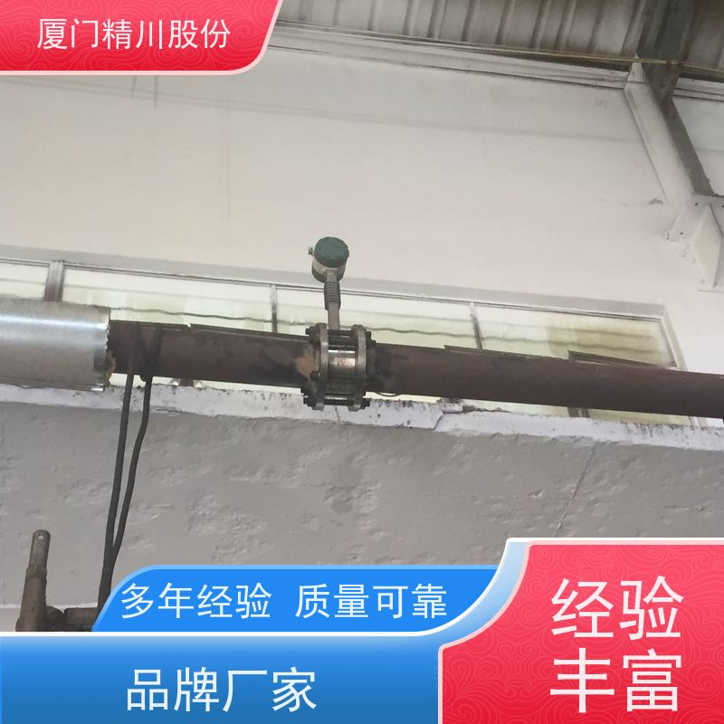 精川股份 PU皮革厂 导热油炉流量计 耐高温400度 安装简单