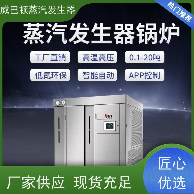  食品级 新能源环保锅炉 小车间也能轻松装 橡胶厂