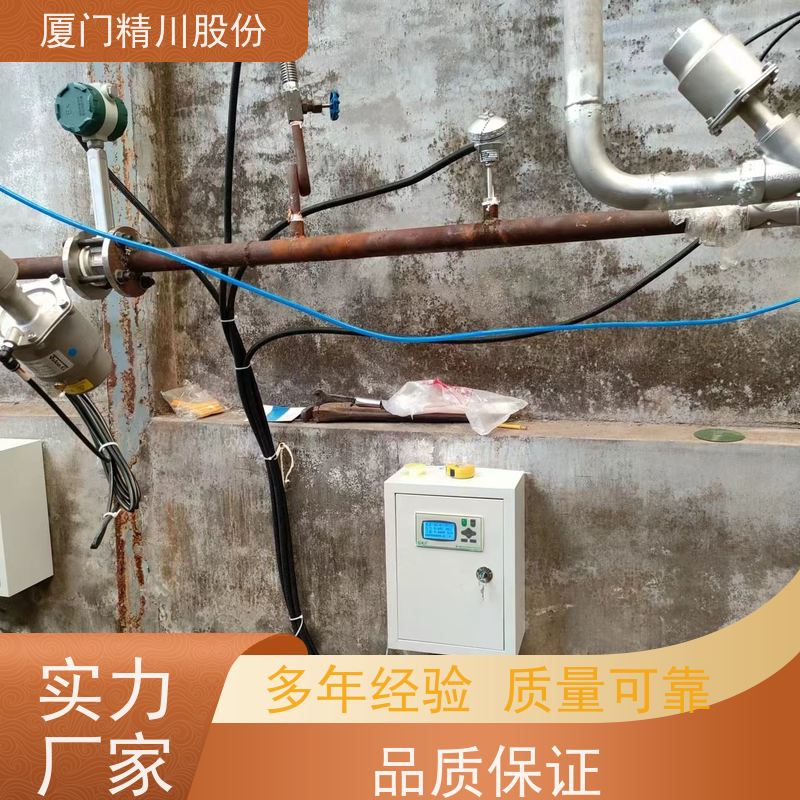 精川股份 食品厂 压缩空气流量计 抗震性能好 源头生产厂家