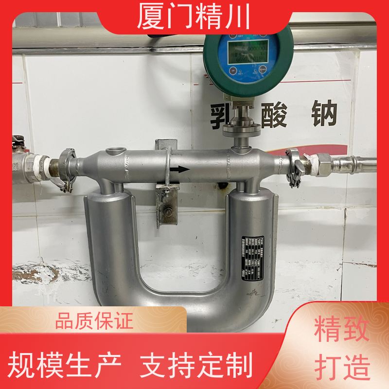 精川 锂电行业科里奥利质量流量计 支持定制 更耐用