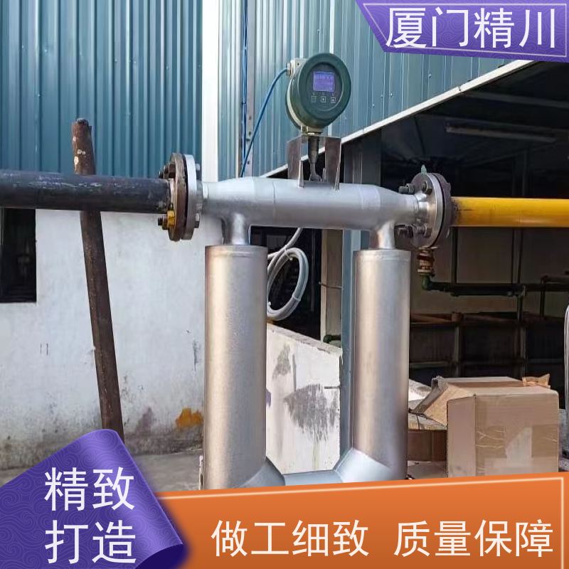 精川股份 食品厂小口径质量流量计 支持定制 更耐用