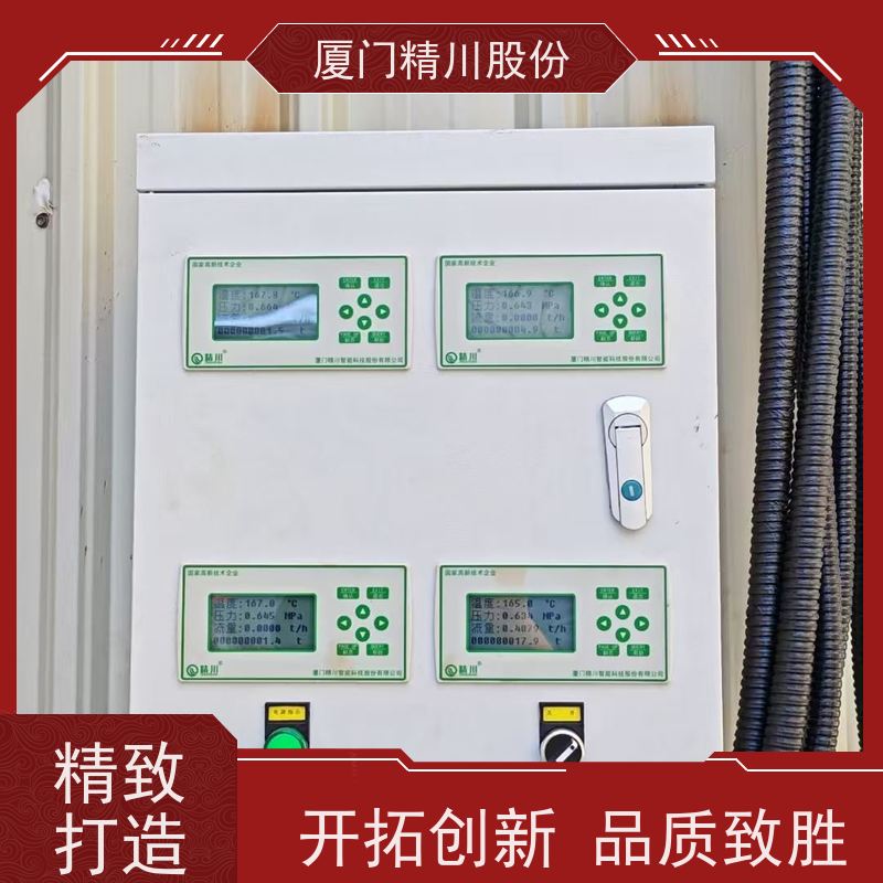 精川股份 橡胶厂 压缩空气流量计 测量精度高 服务量少