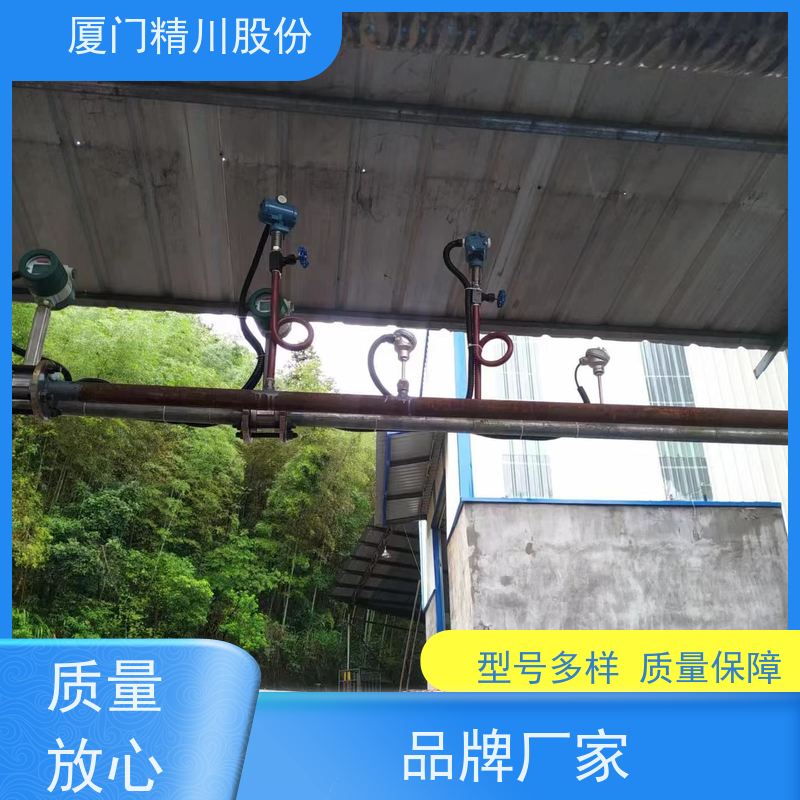 精川股份 PU皮革厂 压缩空气流量计 工作时间长 支持免费选型