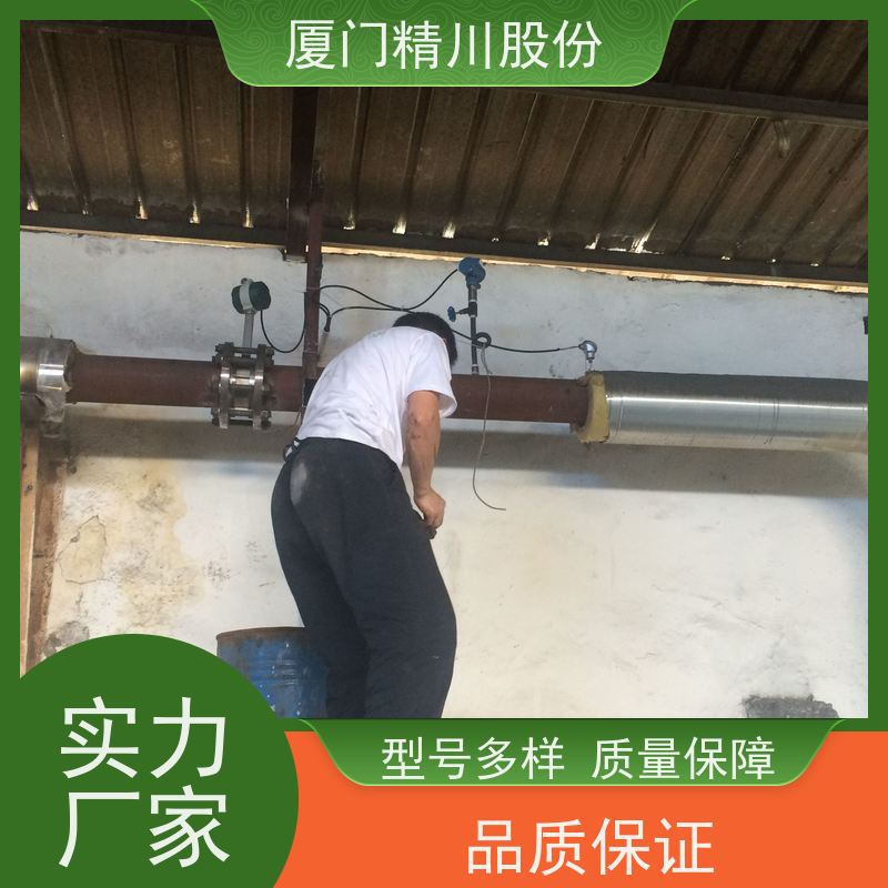 精川股份 人造革厂 过热蒸汽流量计 测量精度高 服务量少