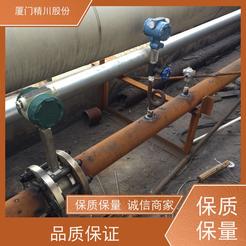 精川股份 人造革厂 导热油涡街流量计 分体式温压补偿 真实应用案例多